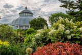 green bushes and red flowers with a glasshouse dome in the background