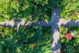 aerial view of a garden with paths crossing