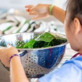 Child putting lettuce leaves in a collander