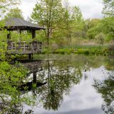 a wooden gazebo overlooking a pond with green trees in the background