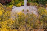 aerial view of a paved rectangle with four rounded topiaries trees with yellow and orange leaves in foreground