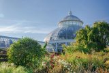 large green bushes and trees with the dome of a glass house in the background