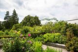 looking at large greenhouse in summer with bushes and flowers in the foreground