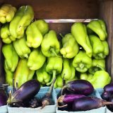 Photo of harvested peppers and eggplant