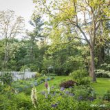 an image of Brandywine Cottage surrounded by plants and trees