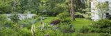 an image of Brandywine Cottage surrounded by plants and trees