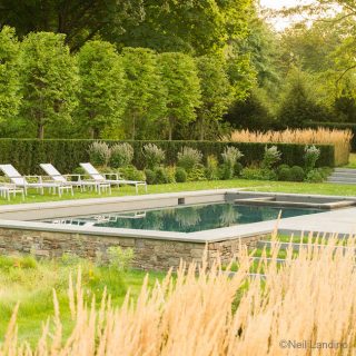 A landscaped garden surrounding a pool