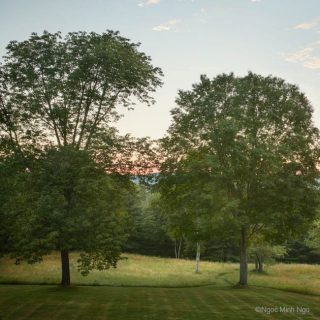 An image of acres of fields and woods and a view of the Berkshire foothills