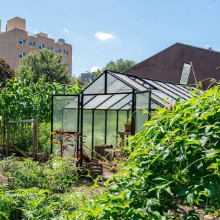 Photo of a Bronx Community Farm Hub