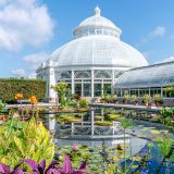 Photo of the Conservatory Courtyard in summer