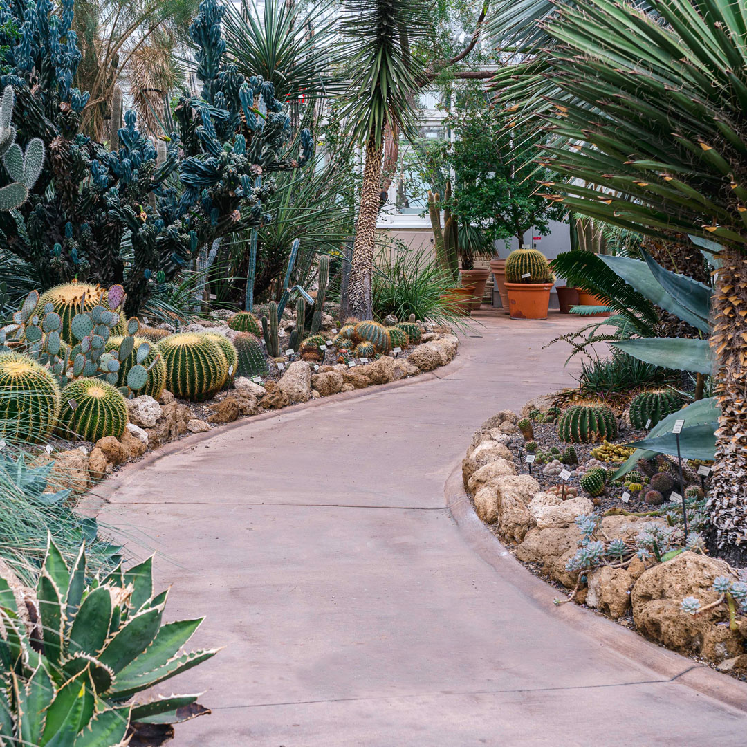 Photo of the desert house