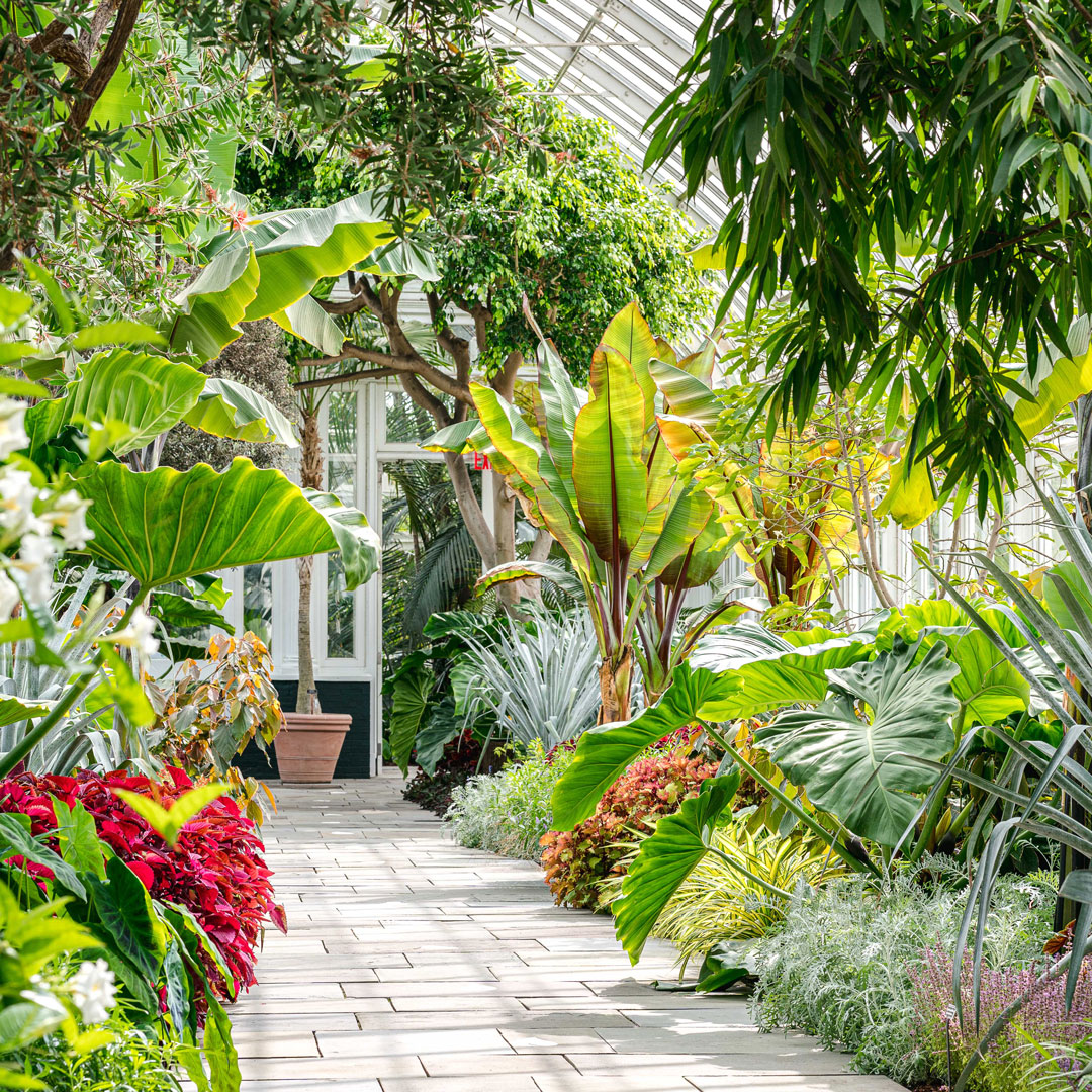 Photo of the Haupt Conservatory