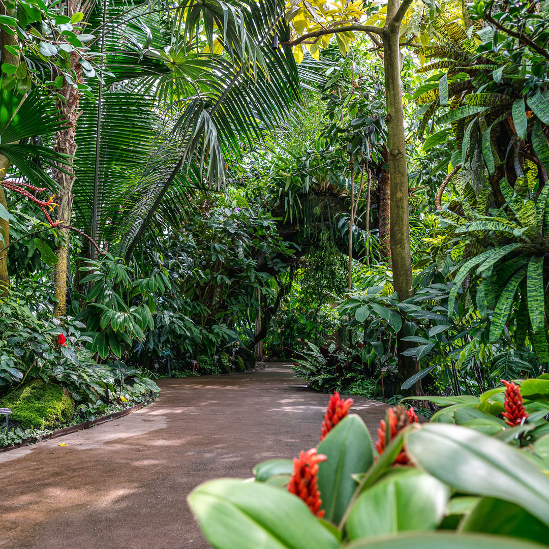 Photo of the Haupt Conservatory