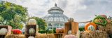 The Great Pumpkin Path in front of the Conservatory