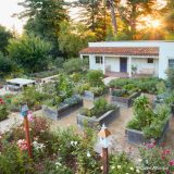 An overhead image of a vegetable garden in Hillsborough, CA