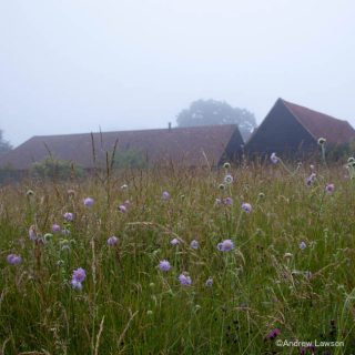 A view of meadows at The Barn Garden in Hertfordshire, UK