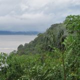 Photo: The Brazilian Amazon Under Threat: A Report on the Impacts of Climate Change and Deforestation in the World&#8217;s Largest Rain Forest