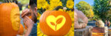 a compilation image of a person carving, a jack-o-lantern with a plant design, and two people admiring a giant pumpkin on a crate