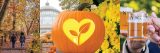 A collage graphic of people walking through a fall forest, a pumpkin carved into the shape of leaves within a heart, and two people toasting each other with beer mugs
