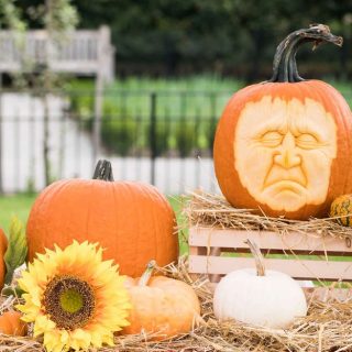 a display of orange and white pumpkins one pumpkin has a face sculpted into it