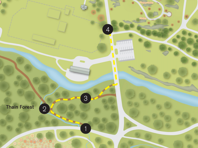 A map of the Thain Forest with numbered locations for the Sweetgum Trail, Sweetgum Bridge, the Stone Mill View Trail Overlook Benches, and the Conifer Collection