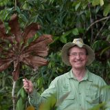 Photo of Thomas Lovejoy holding a leaf in the forest