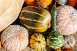 striped and polka dotted pumpkins