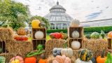 Photo of the Great Pumpkin Path