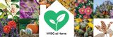 Collage of colorful plant and flower images in squares with the NYBG at Home logo green heart in a white house siloutte in the middle