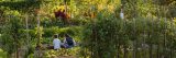 Mother and son gardening in the Edible Academy