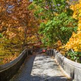A stone bridge leading to forest showing its fall foliage