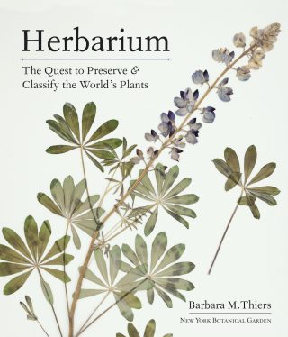 Photo of the "Herbarium" book cover