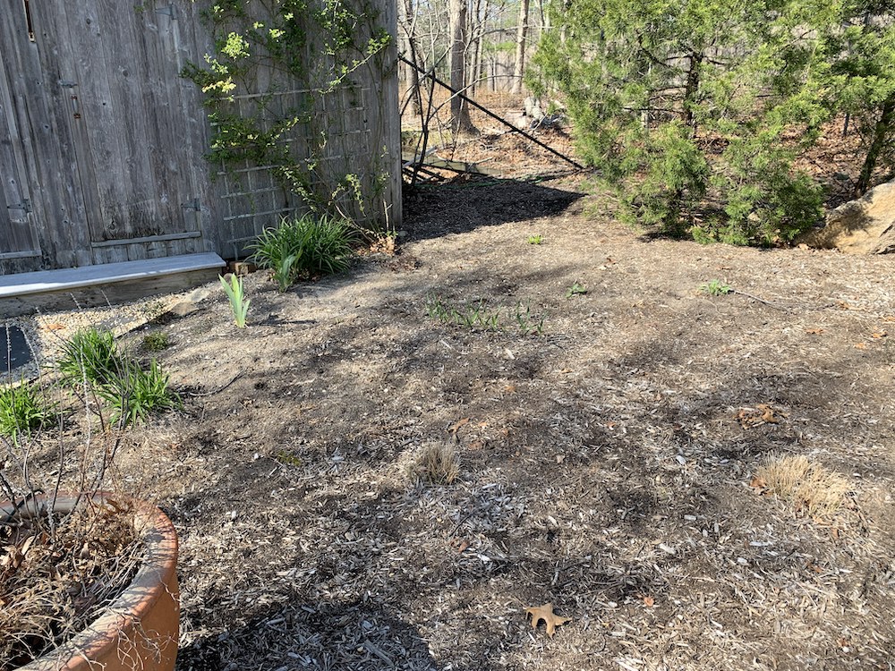 Photo of the barren Long Island property