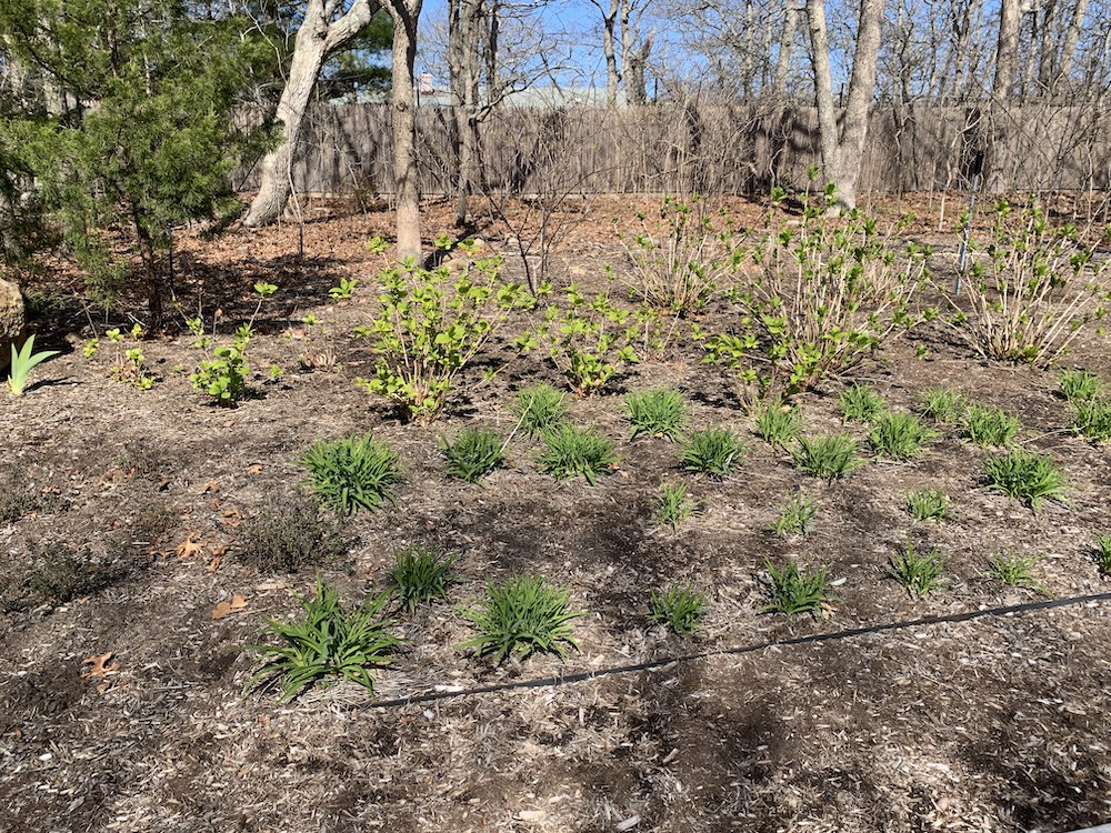 Photo of the barren Long Island property