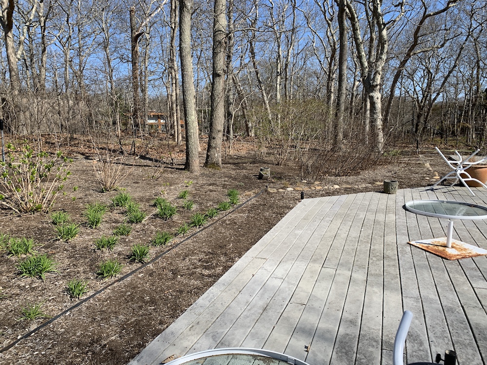 Photo of the barren Long Island property