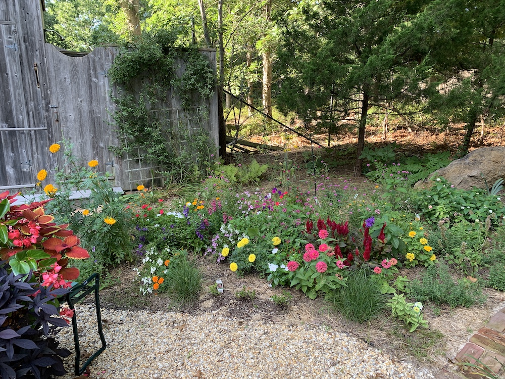 Photo of the property after planting