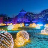 Conservatory view of NYBG GLOW at The New York Botanical Garden