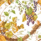 Pencil drawing of botanial illusration of purple grapes and greenish yellow leaves on white paper