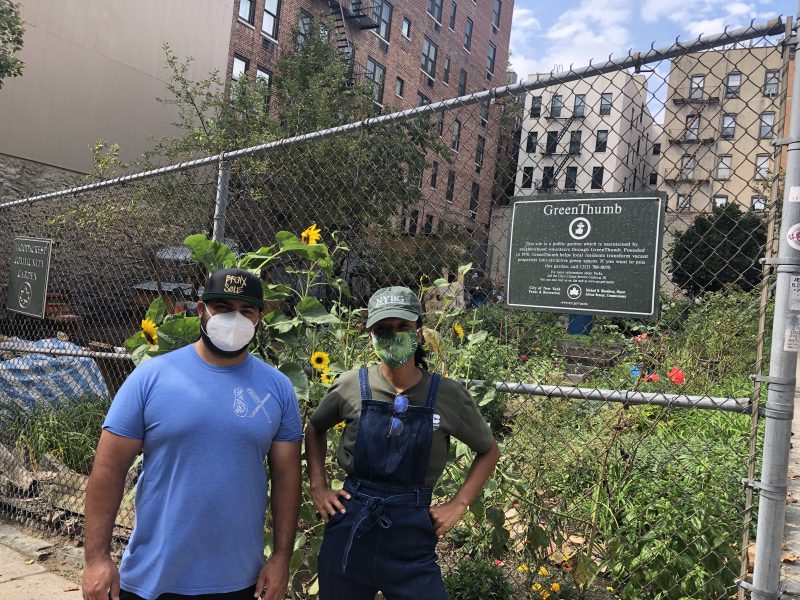 Photo of the Woodycrest community garden