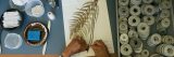 Photo of an Herbarium staffer mounting a specimen