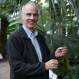 Head shot of Dr. Andrew Henderson wearing a light blue button down shirt with a dark blue blazer standing next to tall palm trees inside a conservatory.