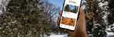 Hand holding iPhone with NYBG black logo and two images of trees in winter in front of a winter landscape showing the Bloomberg Connects app.