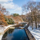 Photo of the Native Plant Garden in winter
