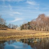 the meadow of the native plant garden in the winter