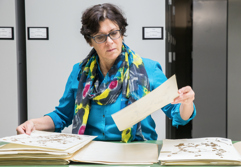 Photo of Barbara Thiers in the Steere Herbarium