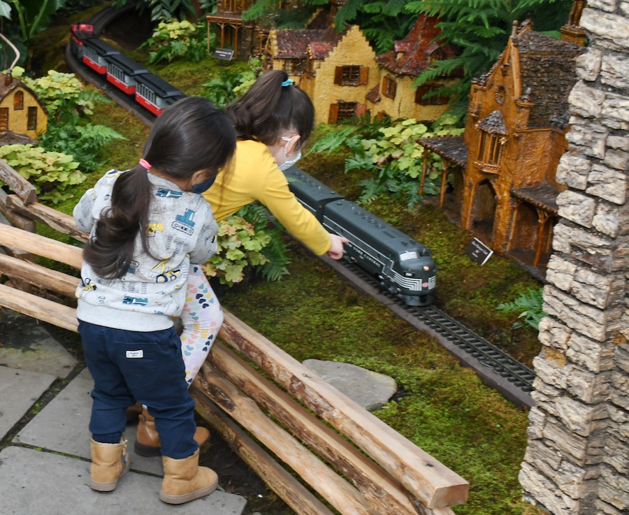 Photo of attendees in the Holiday Train Show during Bronx Community Member Days