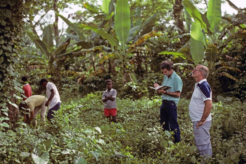 Photo of Andrew Henderson collecting in Haiti