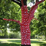 Ascension of Polka Dots on the Trees