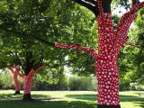 Ascension of Polka Dots on the Trees