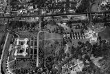 black and white aerial view of the tulip tree allee